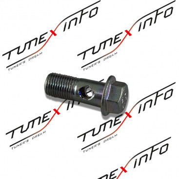 Банжо - болт М10 x 1.0 x 25мм, сталь