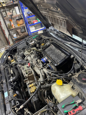 Патрубки радиатора Subaru Impreza GR, GH, Forester SH, Legacy BL-BP, EJ204-EJ255 2шт с хомутами